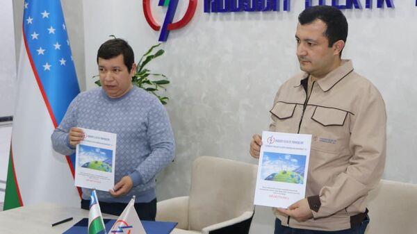 АО РЭС начала закупку электроэнергии у юр. лиц - Sputnik Узбекистан