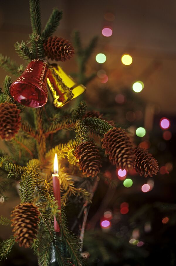 В 1960-е на новогоднюю елку не боялись прикреплять и зажигать свечи. - Sputnik Узбекистан