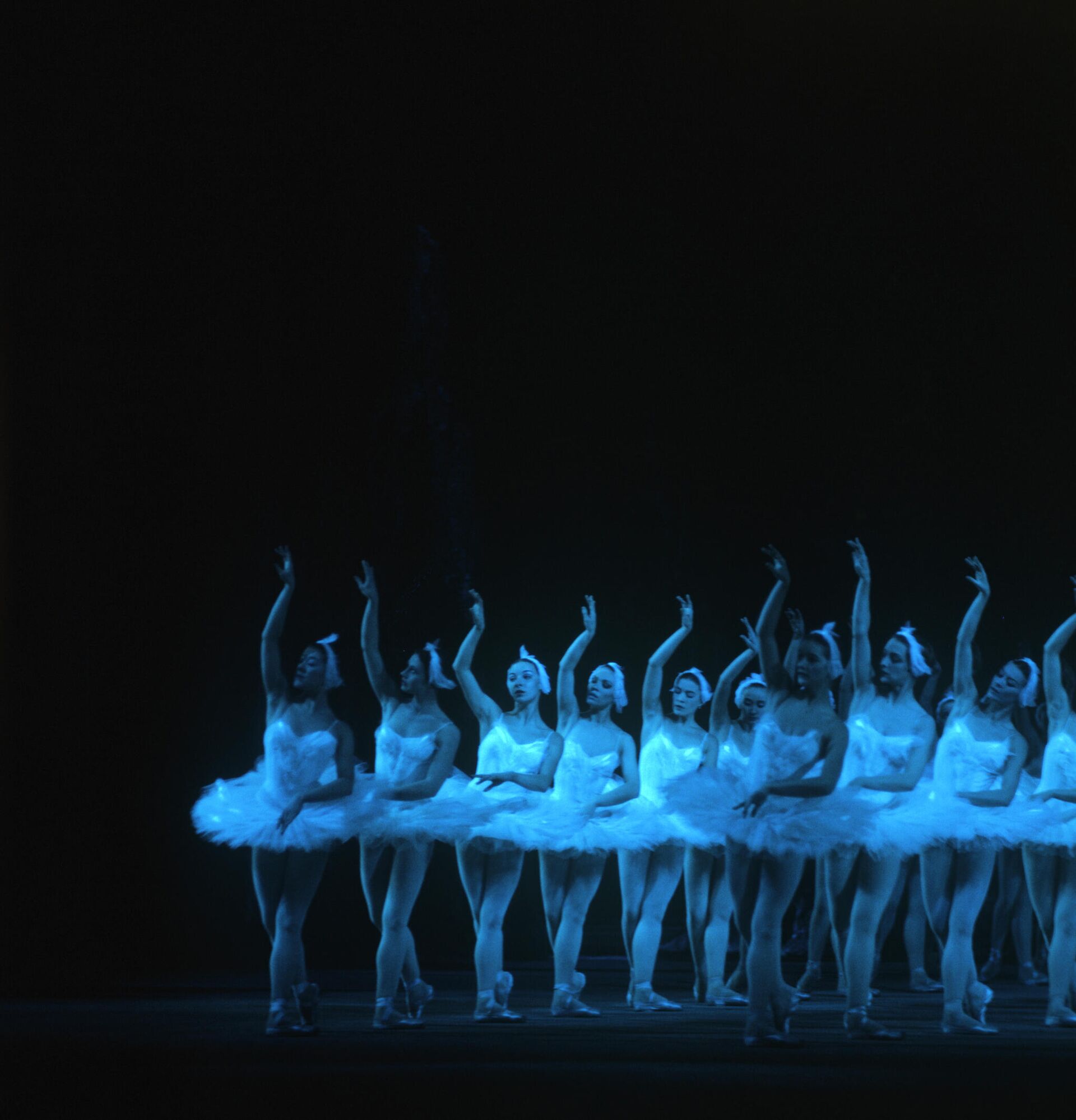 Сцена из балета П. Чайковского Лебединое озеро  - Sputnik Узбекистан, 1920, 02.01.2022