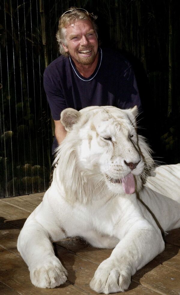 Британский бизнесмен Ричард Бренсон фотографируется вместе с белым бенгальским тигром в Dreamworld в австралийском городе Голд-Кост. - Sputnik Узбекистан