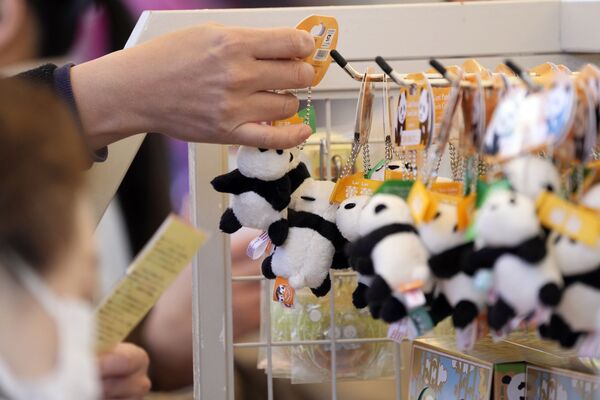 Сувенирная продукция с изображением панд в магазинах зоопарка во время первого публичного показа близнецов Лей-Лей и Сяо-Сяо. - Sputnik Узбекистан