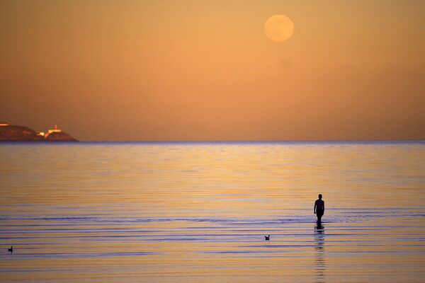 Мужчина смотрит на полную луну, иногда известную как &quot;Волчья луна&quot;, во время прогулки по воде на пляже Сипойнт в Дублине. - Sputnik Узбекистан