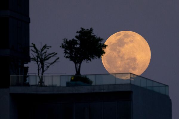 А так Волчья Луна в Бангкоке выглядит на самом деле. - Sputnik Узбекистан