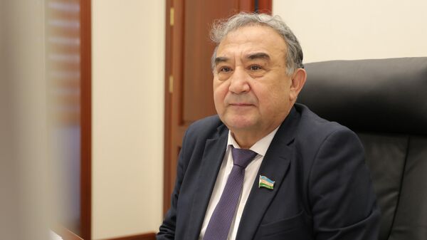 Председатель Комитета Сената Олий Мажлиса по вопросам развития региона Приаралья Борий Алиханов - Sputnik Узбекистан