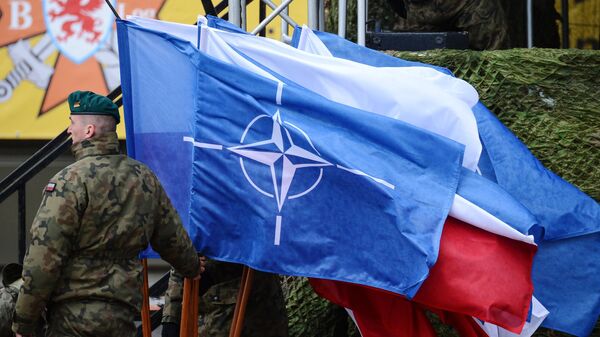 Флаг НАТО - Sputnik Ўзбекистон