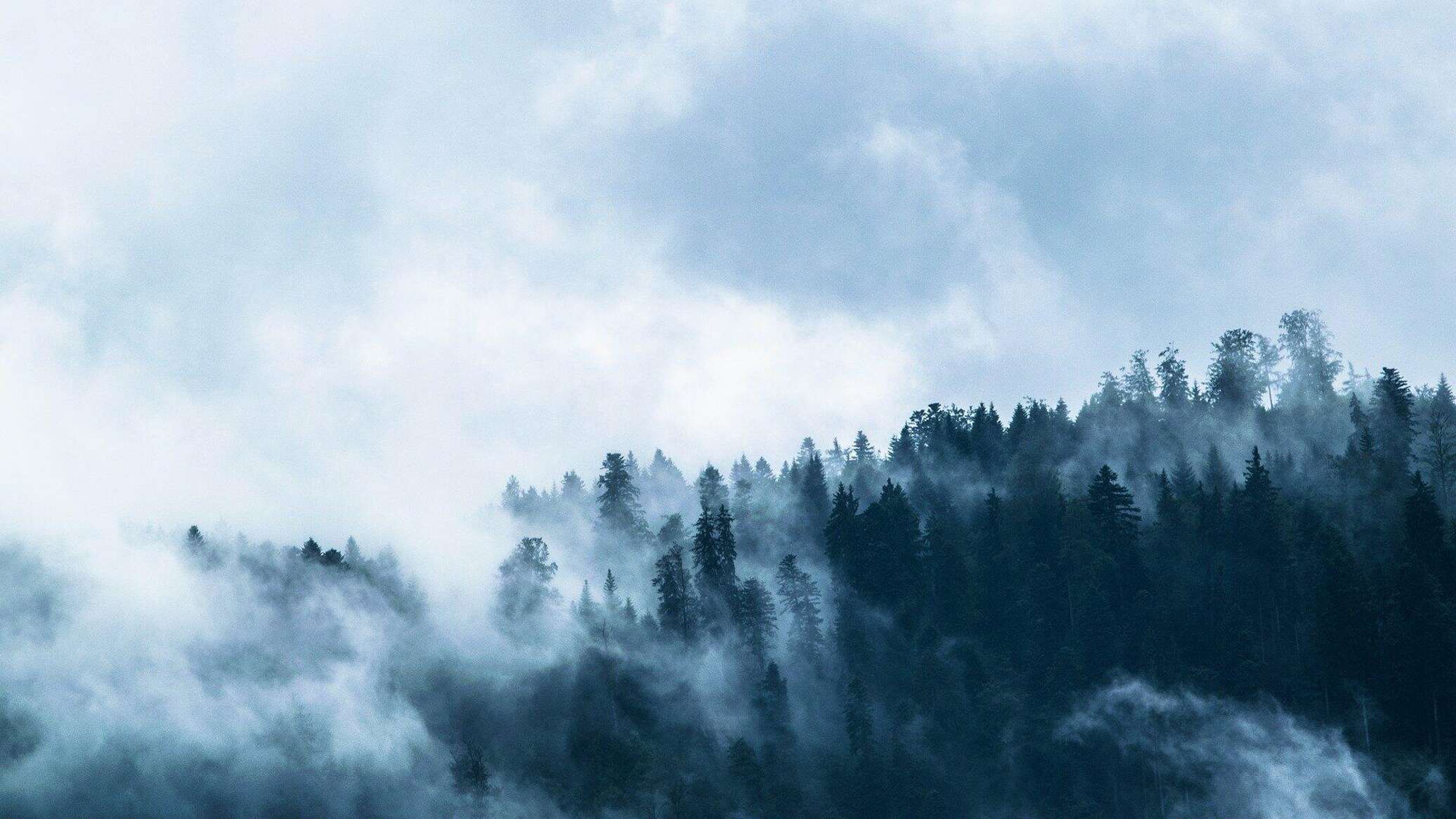 Фон горы в тумане