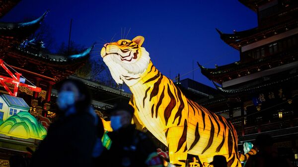Украшение в форме тигра перед празднованием китайского Лунного Нового года в Шанхае, Китай - Sputnik Узбекистан