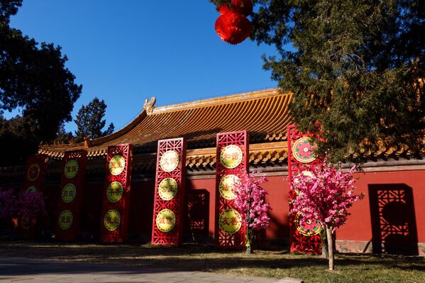 Украшенный к китайскому Новому году парк Храма Земли в Пекине. - Sputnik Узбекистан