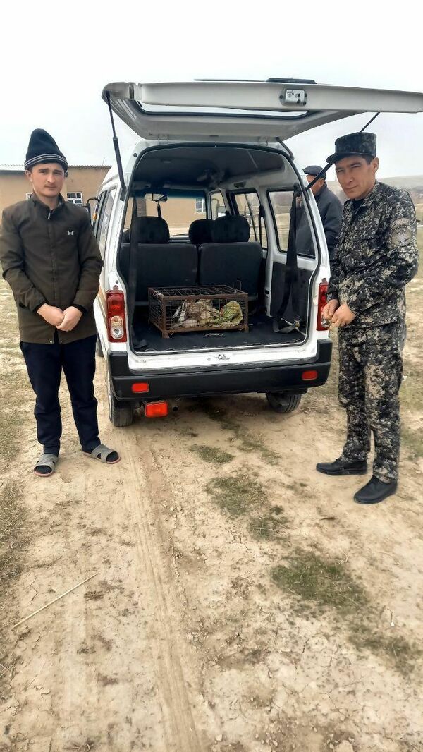 Житель Нурабадского района спас хищную птицу. - Sputnik Узбекистан