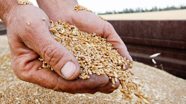 Уборка зерновых в Донецкой и Луганской областях - Sputnik Узбекистан