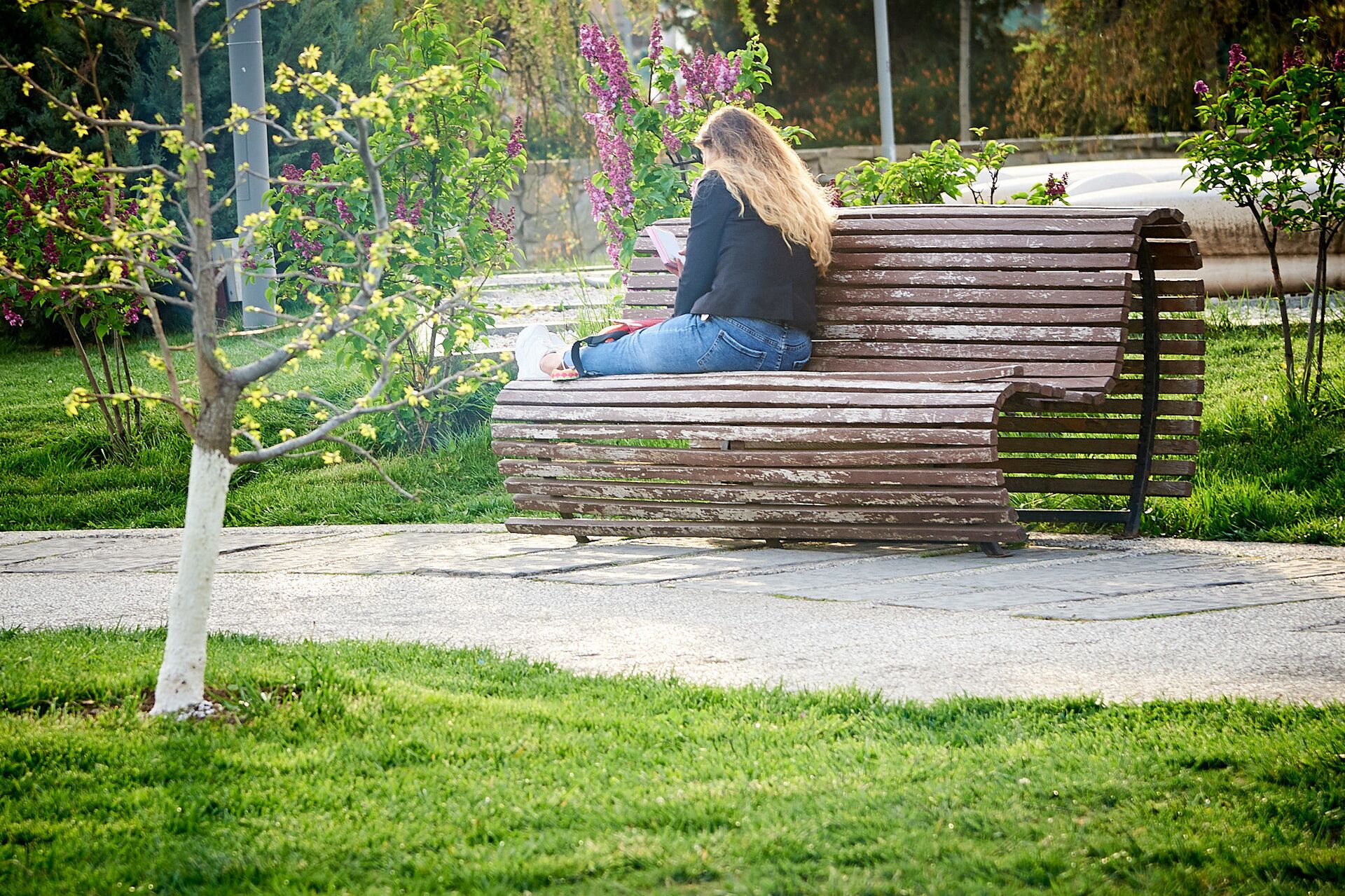 Девушка в парке просматривает сообщения в смартфоне. Из серии Люди и соцсети - Sputnik Узбекистан, 1920, 04.07.2023
