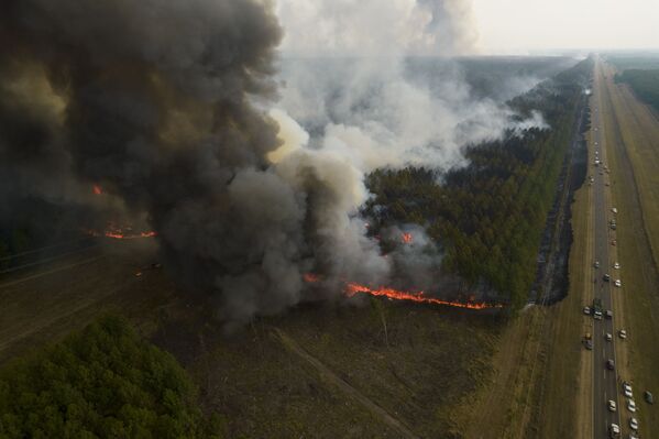 Лесной пожар в провинции Корриентес уничтожил уже более полумиллиона гектаров леса.  - Sputnik Узбекистан