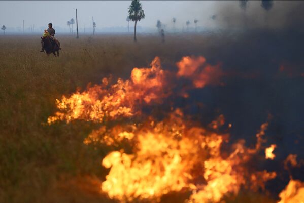 Пламя быстро распространяется по сухой траве в аргентинской степи.  - Sputnik Узбекистан