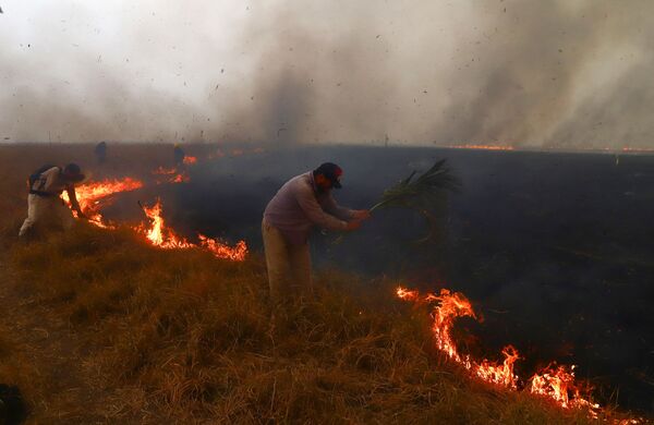 К борьбе с огнем подключились местные жители с самодельными средствами пожаротушения. - Sputnik Узбекистан