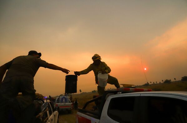 Жители трудятся вместе с пожарными, пытаясь остановить огненную стихию.  - Sputnik Узбекистан