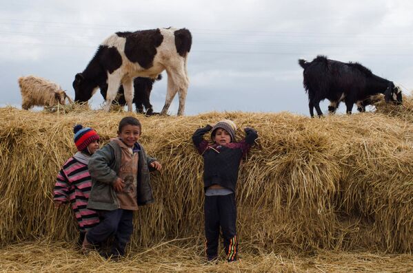 Дети везде одинаковы: малыши играют с животными во время стоянки. - Sputnik Узбекистан