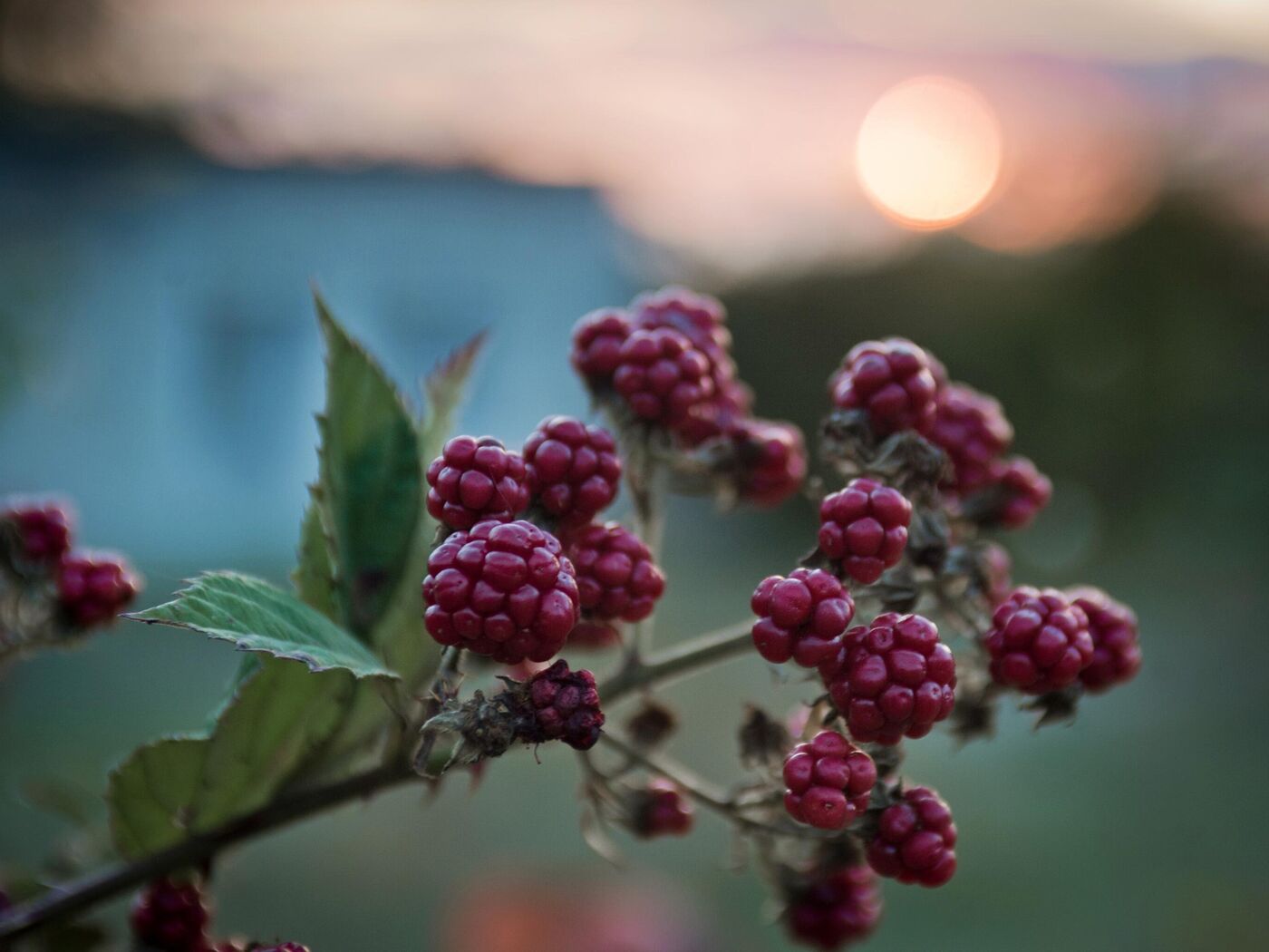 Onlayn porno sperma dengizini ichish