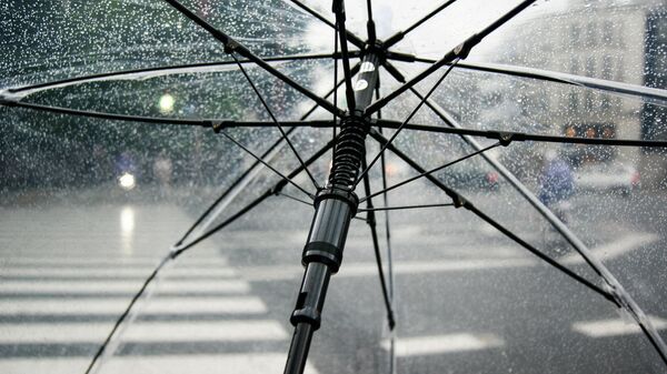 Зонт с черной рамкой - Sputnik Ўзбекистон