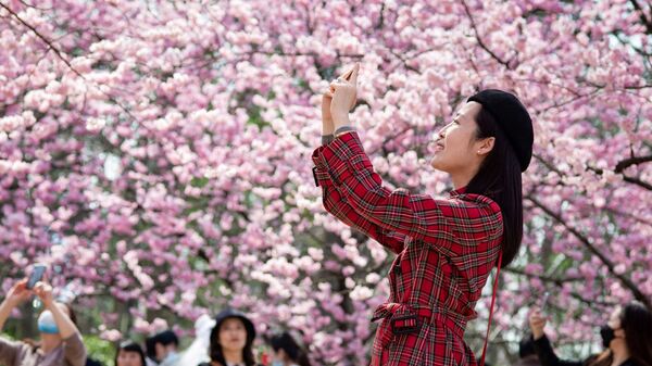 Девушка фотографирует цветущую вишню в китайском городе Нанкин - Sputnik Узбекистан