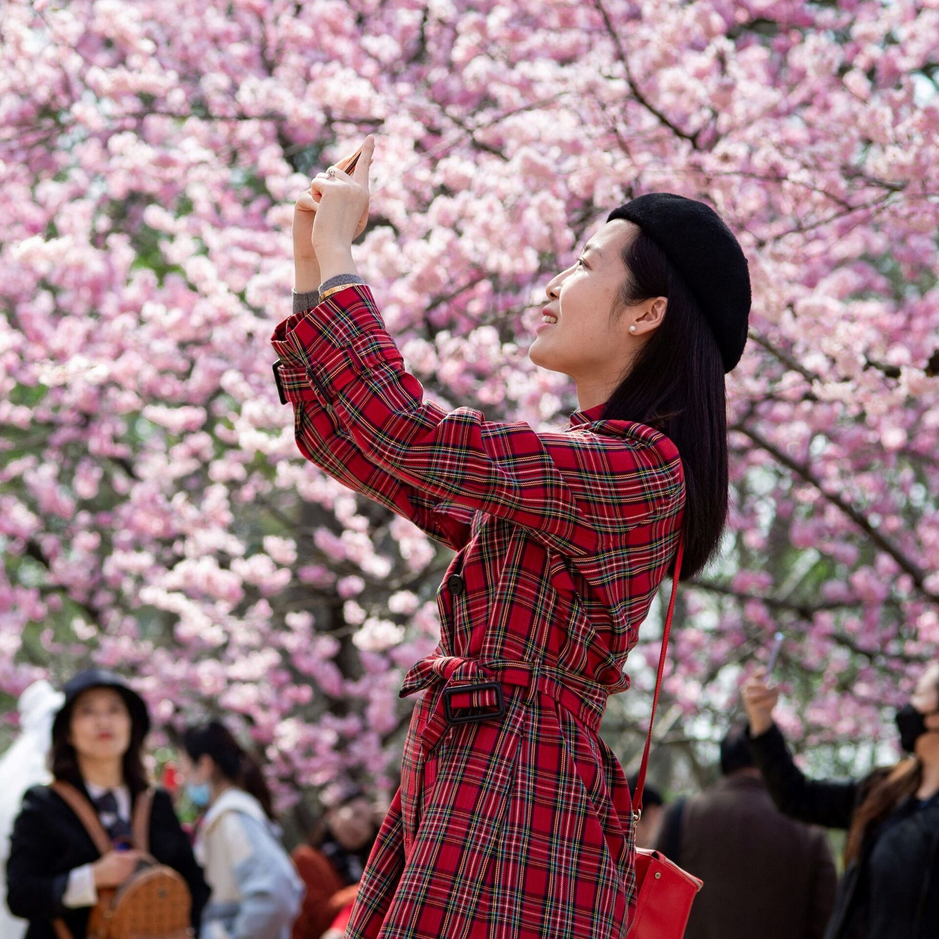 Выходные в китае в марте. Цветущие деревья в Китае. Китай весной. Китай Сакура.