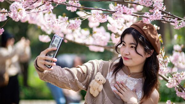 Девушка фотографируется под цветущей вишней в китайском городе Нанкин - Sputnik Ўзбекистон