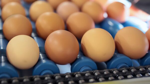 Куриные яйца, архивное фото - Sputnik Ўзбекистон