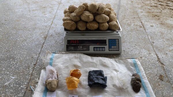 Bolee 154 kg gashisha, zamaskirovannix pod kartofel, popitalis vvezti v Uzbekistan - Sputnik O‘zbekiston