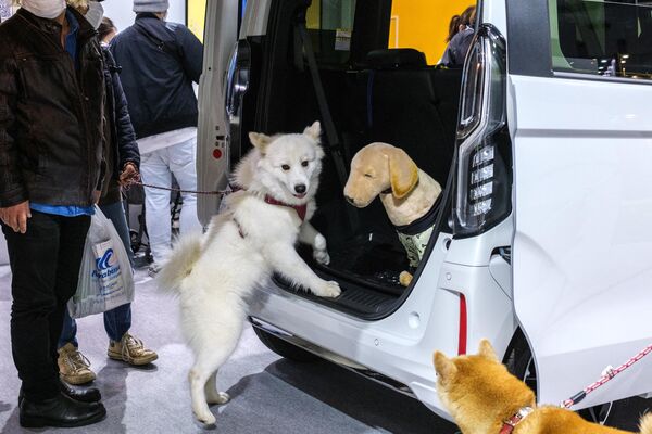 Собаки &quot;тестируют&quot; демонстрируемый на выставке автомобиль: производители утверждают, что он спроектирован для комфортных путешествий с животными. - Sputnik Узбекистан