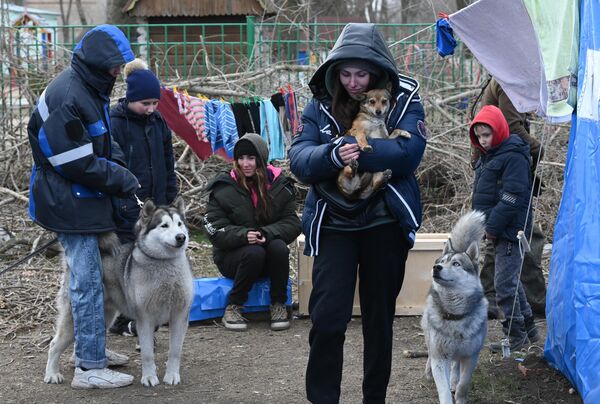 Беженцы из Мариуполя играют с собаками в пункте временного размещения, организованном МЧС ДНР в селе Безыменное - Sputnik Узбекистан