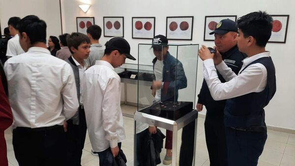 Открылась выставка медных монет клада Янги Санганак - Sputnik Узбекистан