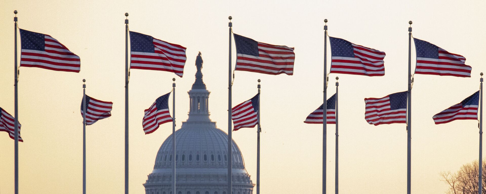 Американские флаги на фоне Капитолия в Вашингтоне, США - Sputnik Ўзбекистон, 1920, 21.04.2024