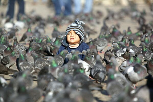 Мальчик среди голубей на площади Святого Марка в Венеции. - Sputnik Узбекистан