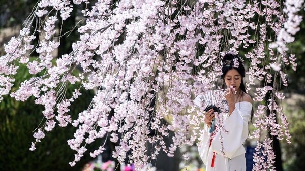 Женщина позирует для фотографий перед цветущим вишневым деревом на Сеульском национальном кладбище - Sputnik Узбекистан