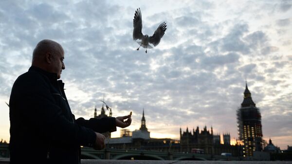 Мужчина кормит птиц на фоне Вестминстерского аббатства в Лондоне - Sputnik Узбекистан