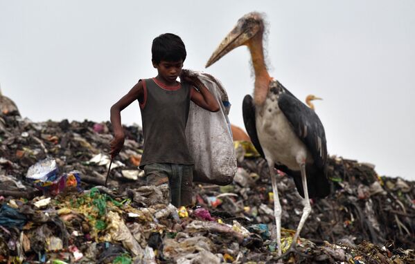 Мальчик сортирует мусор рядом с большим африканским марабу на свалке в Индии.  - Sputnik Узбекистан