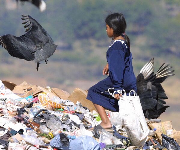 12-летняя Мария вместе с дикими птицами ищет что-нибудь ценное на свалке в Гондурасе.  - Sputnik Узбекистан