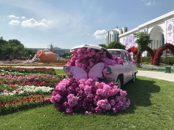 Для этого в Ташкенте организуют различные мероприятия, одним из которых и стал фестиваль цветов. - Sputnik Узбекистан