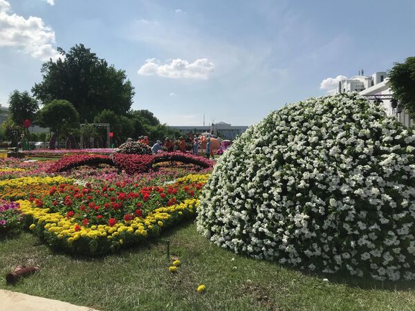 &quot;Tashkent Flower Fest&quot; gullar festivali - Sputnik O‘zbekiston