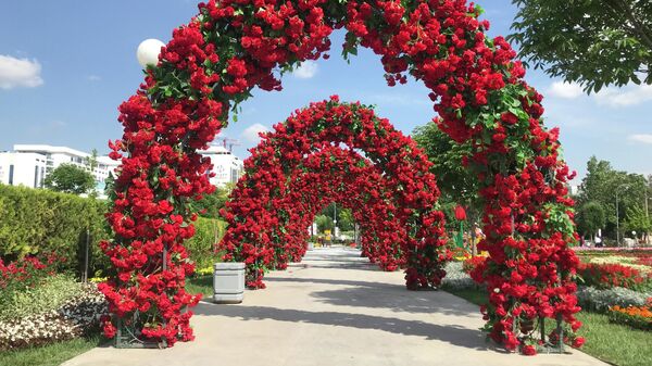 Фестиваль цветов в Ташкенте - Sputnik Ўзбекистон