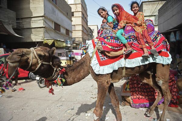 Девочки катаются на верблюде во время праздника Ид аль-Фитр, знаменующего окончание священного месяца Рамадан, в Карачи, Пакистан. - Sputnik Узбекистан