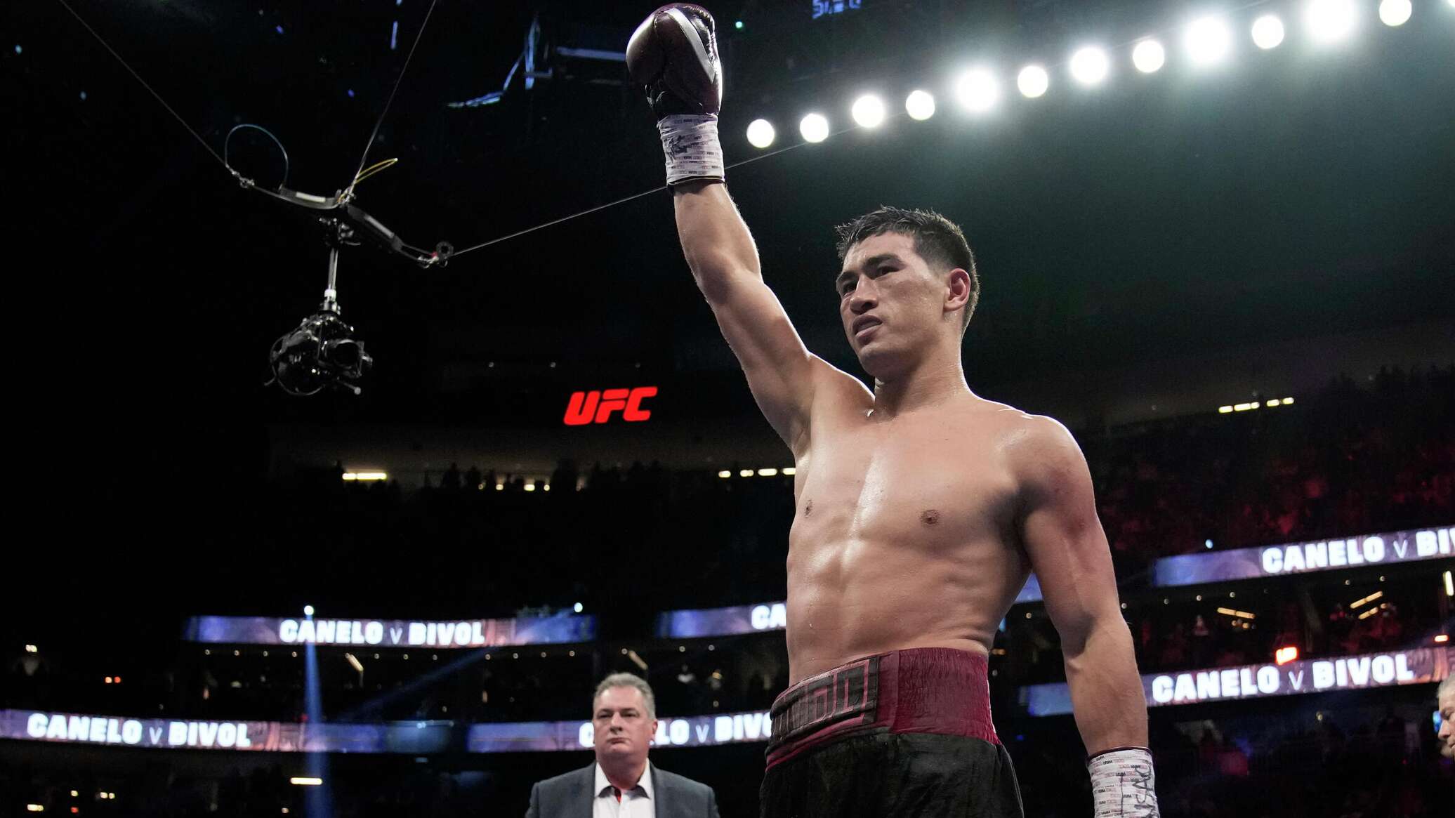 Бивол боец. Вес бивола боксера. Бивол альварес. Вес бивола боксера. Бивол боксер.