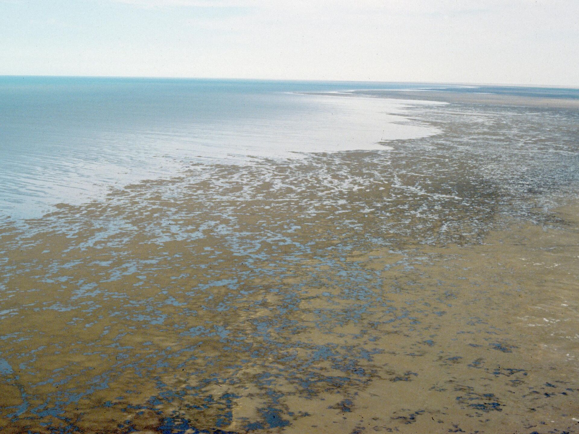 Море хлопков. Аральское море 2020. Аральское море 2022. Высохшее Аральское море 2020. Аральское море сейчас 2022.