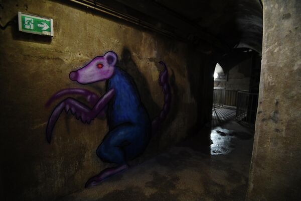 На снимке, сделанном 25 мая 2018 года, изображена картина французского уличного художника Codex Urbanus, изображающая крысу в канализации. Картина является частью Музея канализации в Париже. - Sputnik Узбекистан
