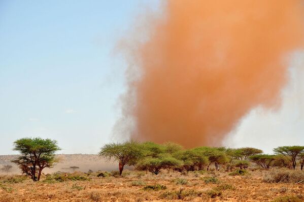 Песчаная буря в Сомалиленде. - Sputnik Узбекистан