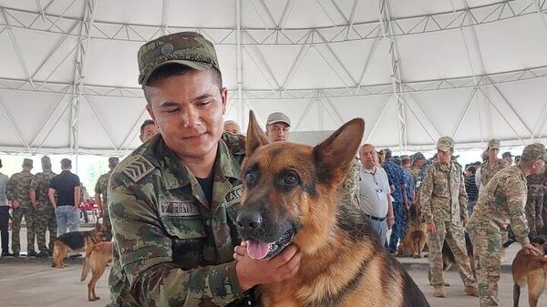 В Ташкенте проходит выставка служебных собак - Sputnik Узбекистан