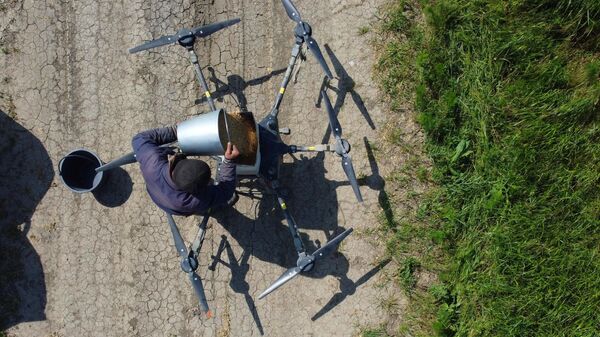 Sev risa pri pomoshi dronov v Krasnodarskom krae - Sputnik O‘zbekiston