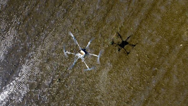 Sev risa pri pomoshi dronov v Krasnodarskom krae - Sputnik O‘zbekiston