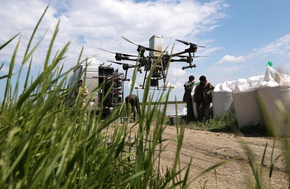 Взлет дрона с семенами риса. - Sputnik Узбекистан