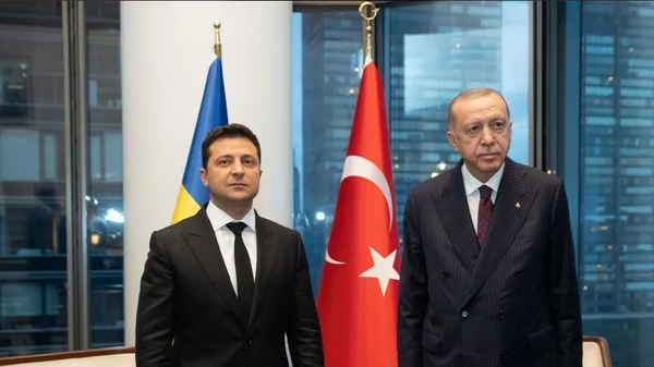 Prezident Ukraini Vladimir Zelenskiy i prezident Tursii Tayip Erdogan - Sputnik O‘zbekiston