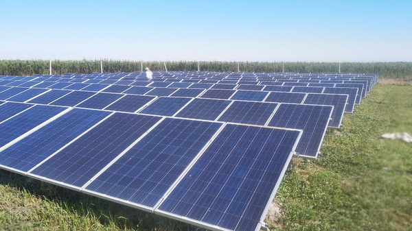 Fermer ustanovil solnechnie paneli na 60 kVt - Sputnik O‘zbekiston